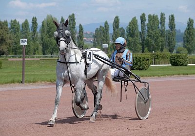 Avenches 190522 002 Vento Petral