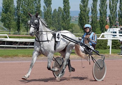 Avenches 190522 011 Vento Petral