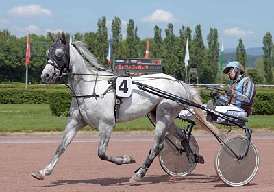 Avenches 190522 012 Vento Petral