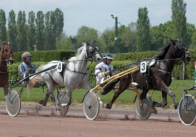 Avenches 190522 024 David of Money Vento Petral