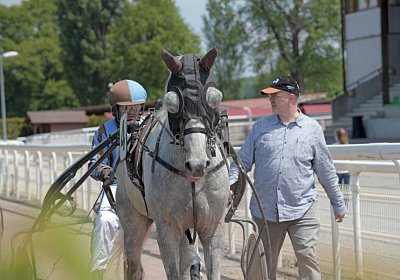 Avenches 190522 034 Vento Petral