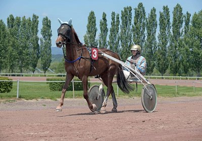 Avenches 190522 058 Gustavo de Joma