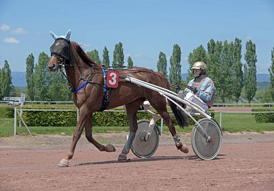 Avenches 190522 059 Gustavo de Joma