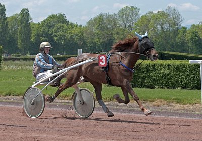 Avenches 190522 087 Gustavo de Joma