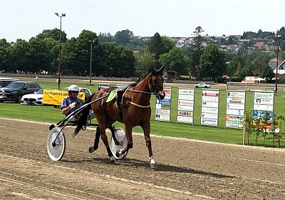 Parade Elkador IMG 6851