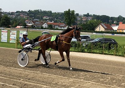 Parade Elkador IMG 6853