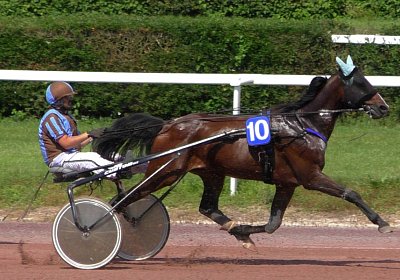 2019 06 30 Avenches Ayral S3640077