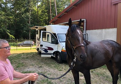 2019 06 30 Wissembourg Puelo IMG 7699