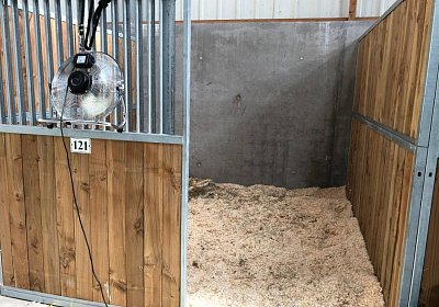 2019 06 30 Wissembourg Puelo IMG 7702