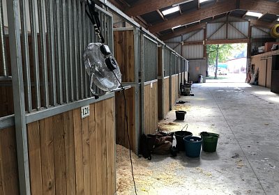 2019 06 30 Wissembourg Puelo IMG 7703