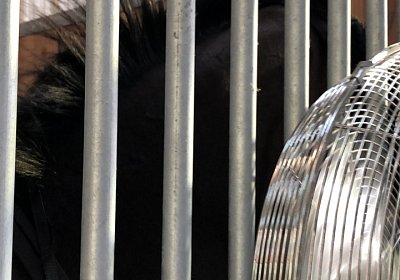 2019 06 30 Wissembourg Puelo IMG 7711