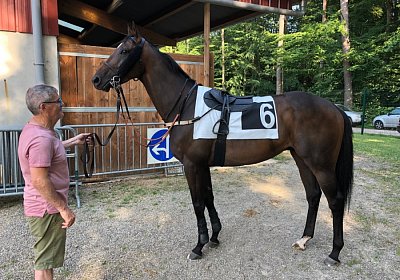 2019 06 30 Wissembourg Puelo IMG 7718