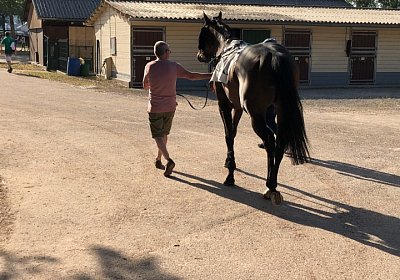 2019 06 30 Wissembourg Puelo IMG 7727