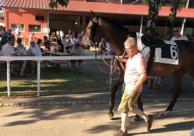 2019 06 30 Wissembourg Puelo IMG 7732