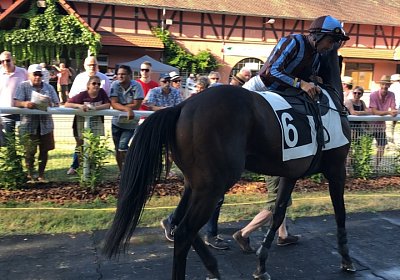 2019 06 30 Wissembourg Puelo IMG 7741