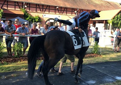 2019 06 30 Wissembourg Puelo IMG 7742