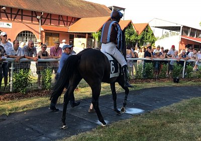 2019 06 30 Wissembourg Puelo IMG 7745