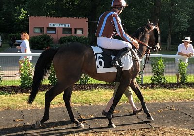 2019 06 30 Wissembourg Puelo IMG 7749