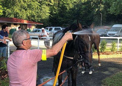 2019 06 30 Wissembourg Puelo z IMG 7756