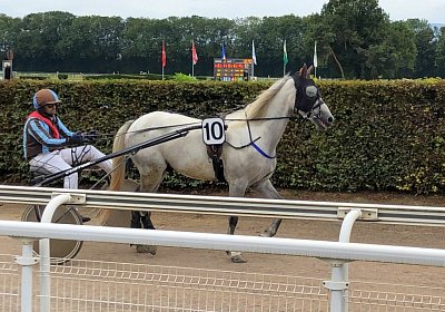 Vento IMG 0785