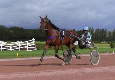 Vessillo k S3870022