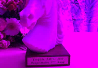 Champions Night 2019 Allegra Trophies 2019 IMG 3012