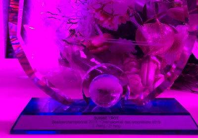 Champions Night 2019 Allegra Trophies 2019 IMG 3013