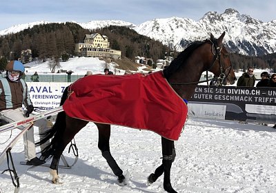 StMoritz 16 02 2020 Sonny 2