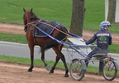 2020 02 29 Ange Vincennes B S4110045