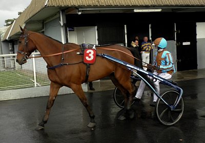 2020 02 29 Ange Vincennes L S4110097