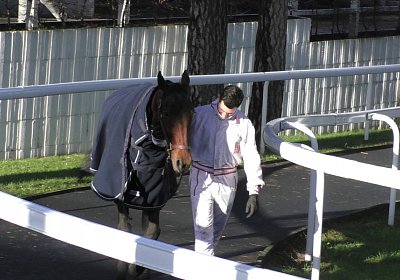 2020 02 29 Ange Vincennes S4110109