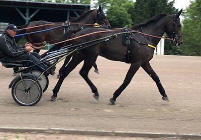 H img 3283 Black Jack