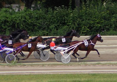 Black Jack S4300068