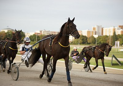 DSC05558 Jack Berlin Derby-2020