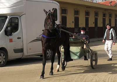 Turin 24feb21G S4780038 Sonny