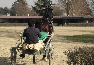 Turin 24feb21G S4780040 Sonny