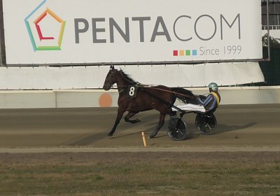 Turin 24feb21I S4780074 Ange