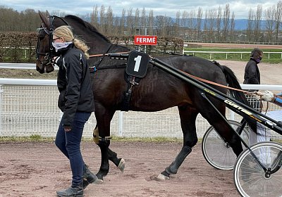 Avenches 11 03 21E IMG 3747 Black Jack