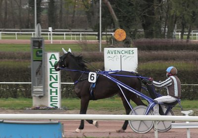 Avenches 11 03 21X S4800037 Alexis