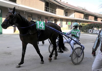Mailand 170319 G S4820022 Vessillo