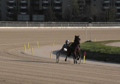 Mailand 170319 J S4820045 Rebus