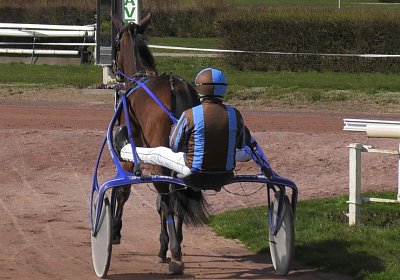 Av 25 03 21 B S4840015 Fiddle