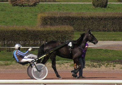 Av 25 03 21 B S4840018 Jack