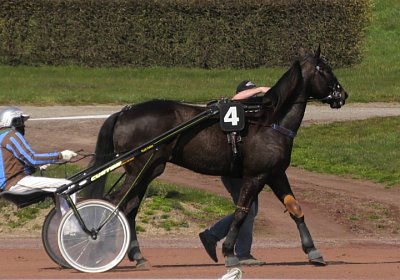 Av 25 03 21 B S4840019 Jack