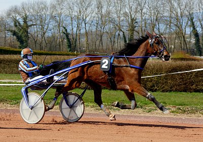 Av 25 03 21 D nv 01 07 fiddlesticks