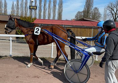 Av 25 03 21 G IMG 4520 Elkador
