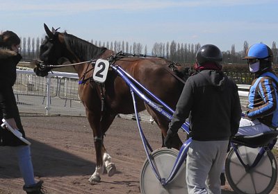 Av 25 03 21 G S4840040 Elkador