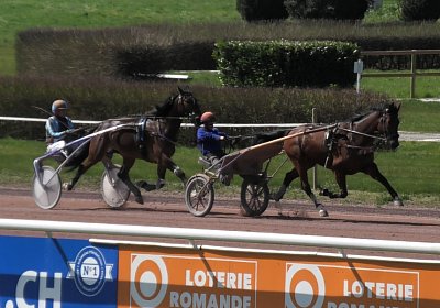 Av 31 03 21 F S4850055 Fernando Ina