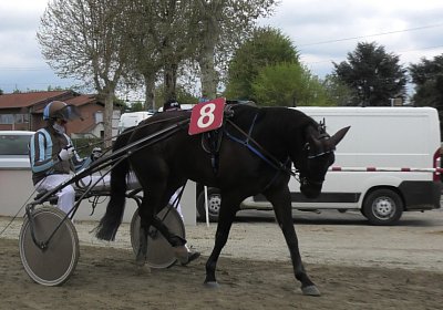 Turin 11 04 21 E S4880026 Globi