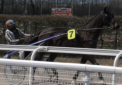 Av 14 04 21 L S4890031 Alexis
